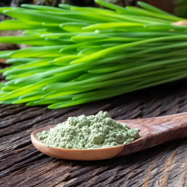 BARLEY_GRASS_df7c294f-1636-4400-8e73-59eb8dbb5e45